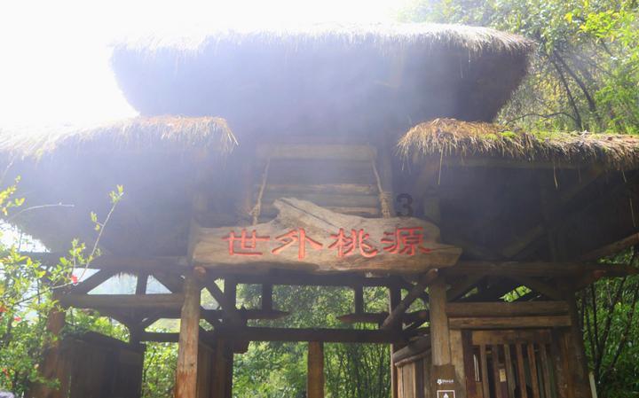 蓝狐视频
